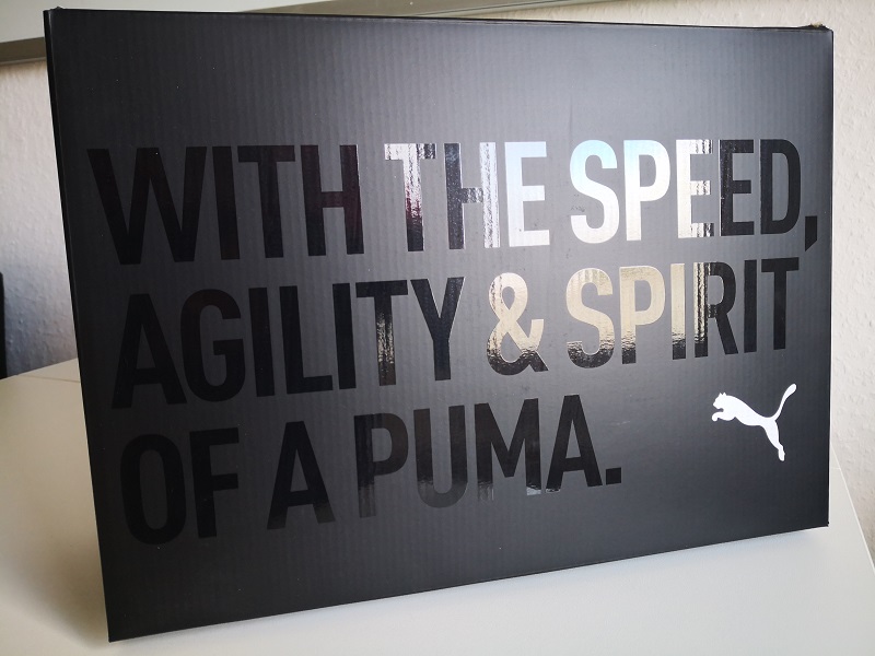 With The Speed, Agility & Spirit of a Puma
